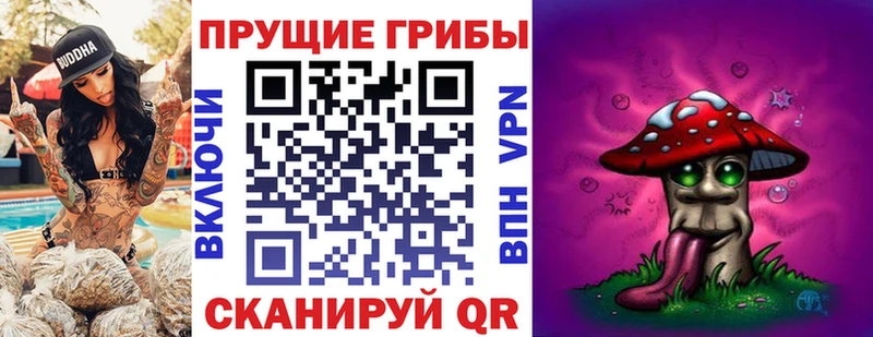 Галлюциногенные грибы Psilocybe  Купить где  Новосокольники 